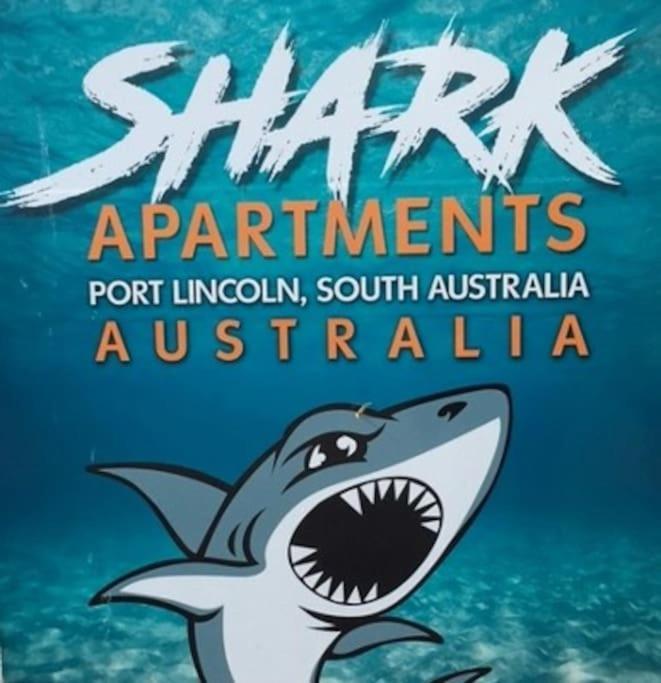 Port Lincoln Shark Apartment 6 Экстерьер фото